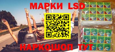 СК Пугачёв