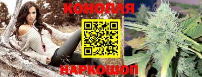 дмт Пушкино